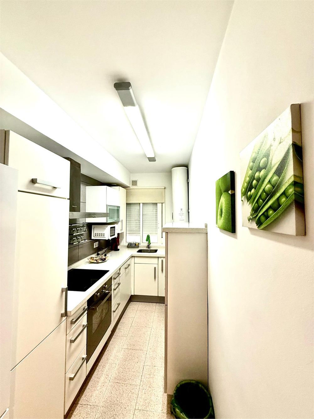 Salón luminoso de apartamento gestionado por comisión